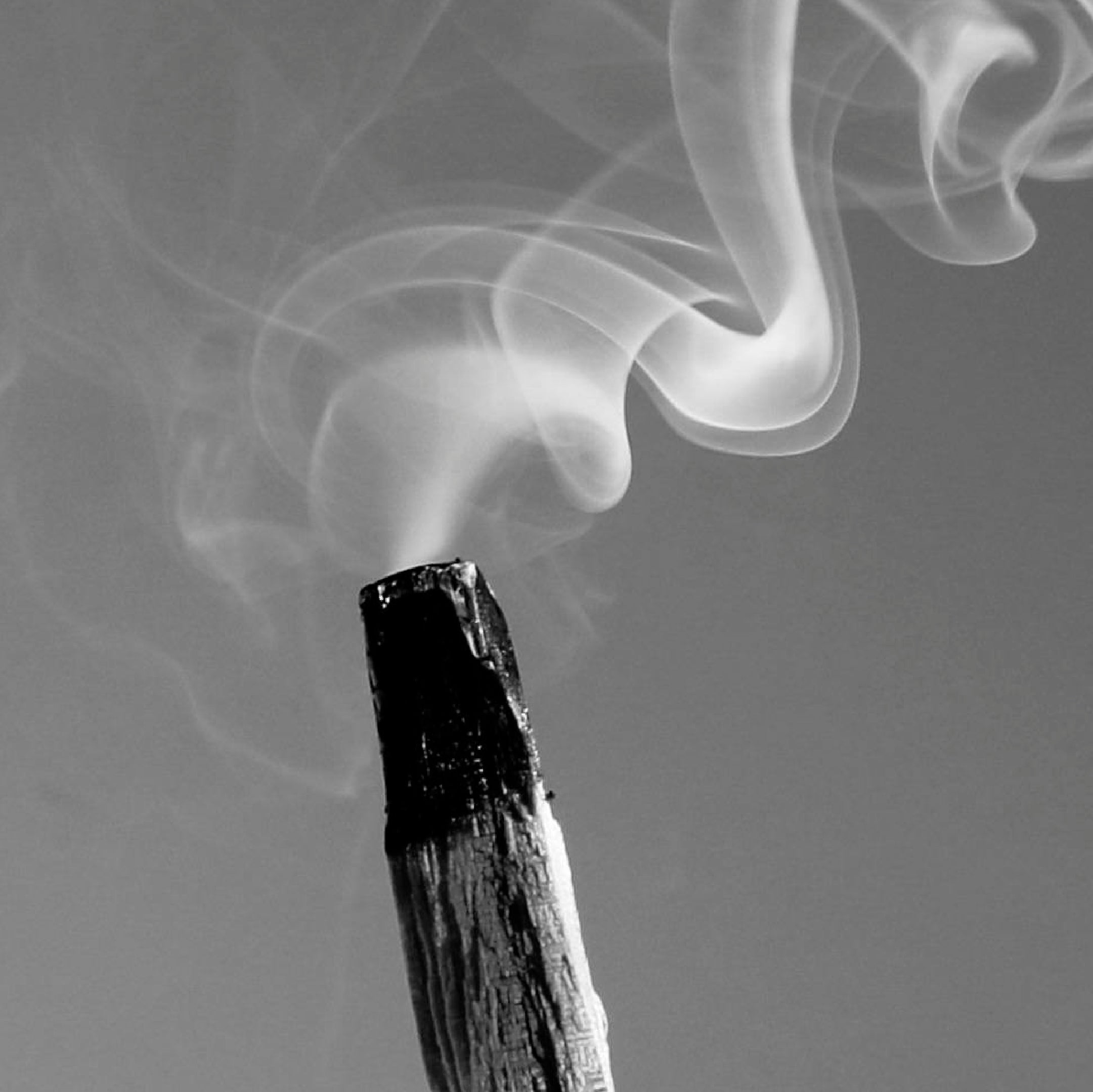 Palo santo essential oil candle